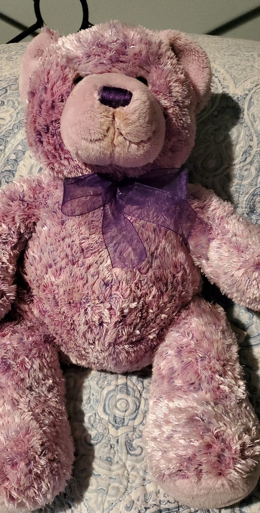 Stuffed Bear,  Pink/Purple